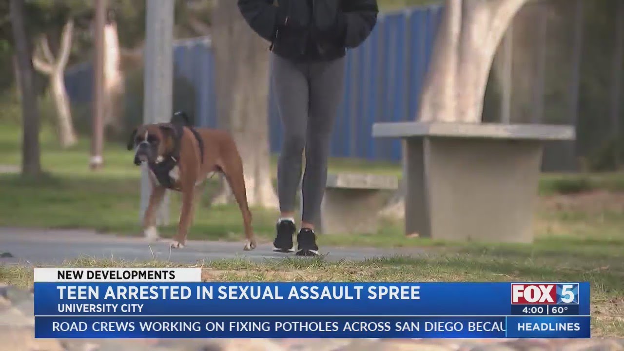 Suspect Arrested In Sexual Assault, Groping Spree - YouTube