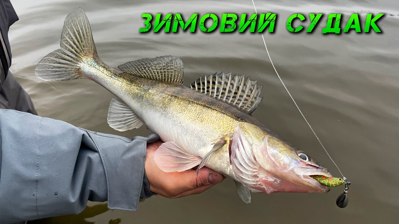 ✅ ЗИМОВИЙ СУДАК, ЯК ЙОГО ЗЛОВИТИ? ✅