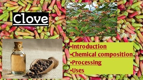 CLOVE Food spices and condiments. Food science and technology