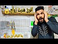 جابولي هديه ببغاوات 😱لكيت الكولدن صاير بيه 😭