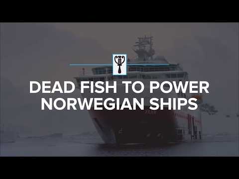 Dead fish to power Norwegian ships