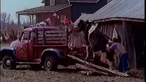 Stompin' Tom Connors - Margo's Cargo (Official Mus...