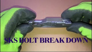 SKS Bolt - Break Down - YouTube
