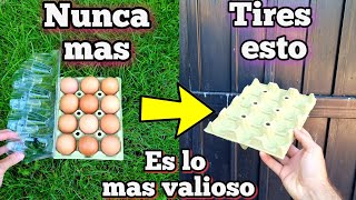 NUNCA MÁS LO TIRES! Cartones de Huevos Usados SON UNA GEMA en Tus PLANTAS | Huerto urbano en Casa