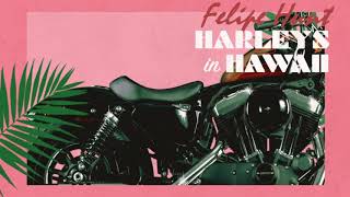 Felipe Hunt - Harleys in Hawaii You and I Ridin