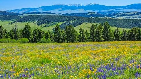 Akaso Accessories Kit...