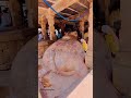 Basavanna Yaganti Temple Basavanna Yaganti Nandi Oldtemple Funny Shorts Ytshorts Viralvideo Basavanna Yaganti Temple Basavanna Yaganti Nandi Oldtemple Funny Shorts Ytshorts Viralvideo