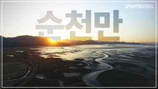 순천만의 아침