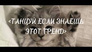 💗 Танцуй Если Знаешь Этот Тренд 💗