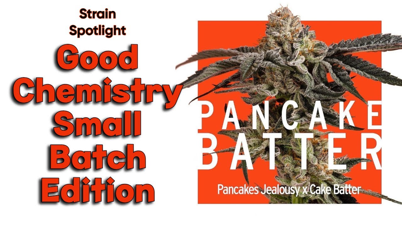 Pancake Batter Strain Spotlight YouTube