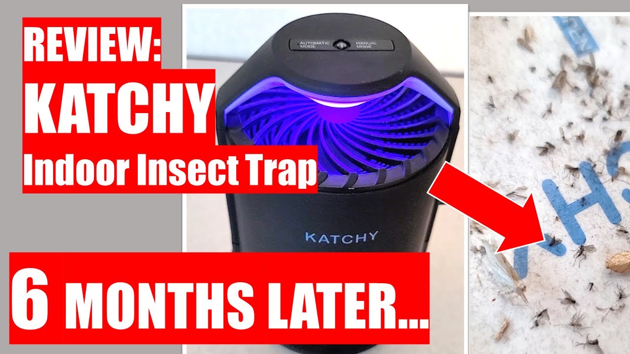 Katchy Duo: 2-in-1 Automatic Indoor Trap For Flying Insects by