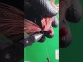 #fishing #spinning #spinning #fishinglife #mikrojig #trout #troć #mucha #okoń #pstrąg #ultralight