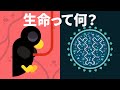 生命って何？死ってあるの？