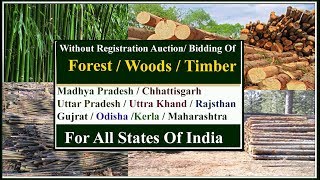 Timber Tender Auction Without Any Registration  (लकड़ी के टेंडर) screenshot 5