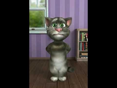Video: Բրիտանական կարճահասակ կատու. Ցեղի նկարագրություն, հնարավոր գույներ, պահվածք և խնամք, կատվի ընտրություն, բրիտանացի անվանել