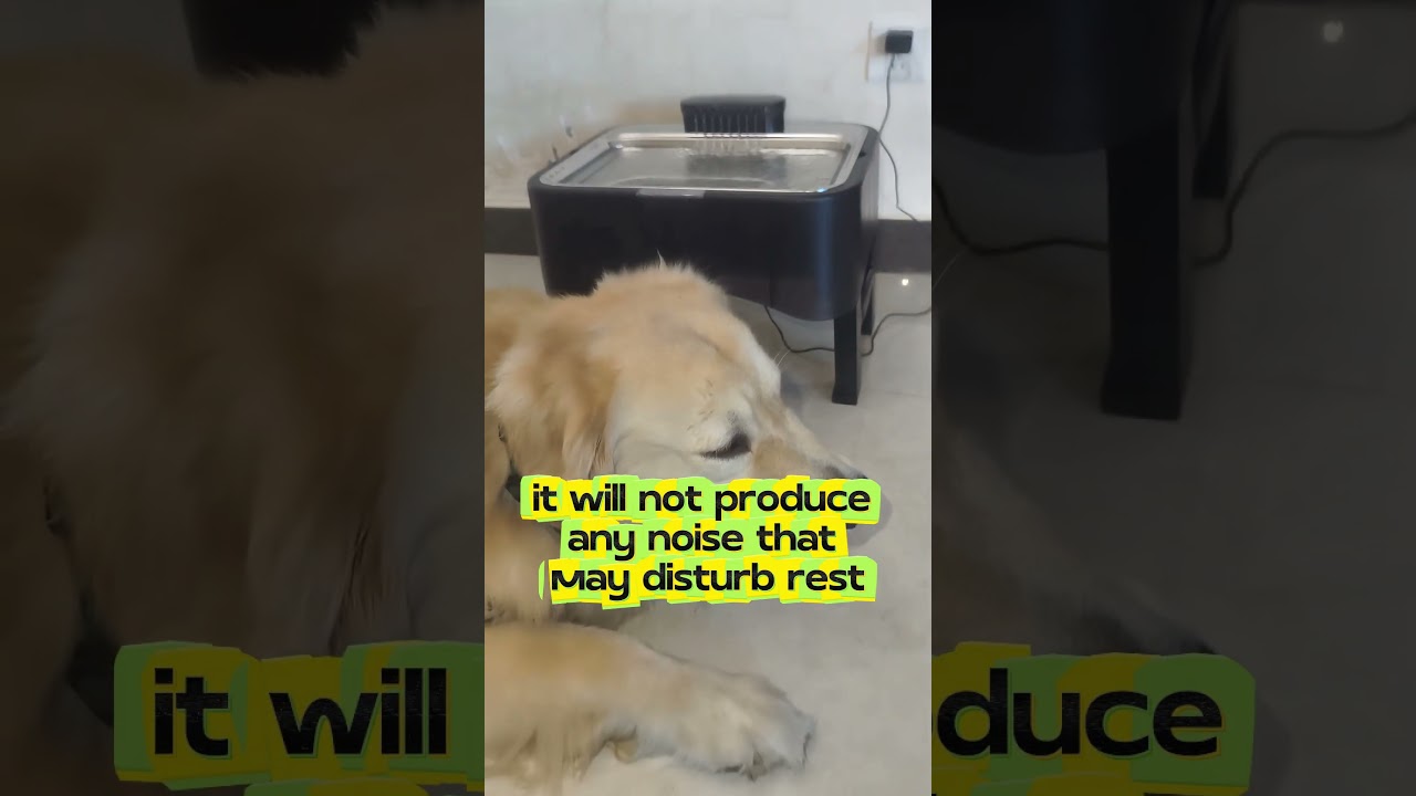 Elevated Dog Water Fountain, 4 Heights Adjustable Pet Fountain 