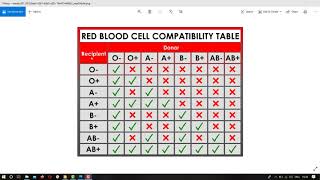 Human biology / lab No. 9