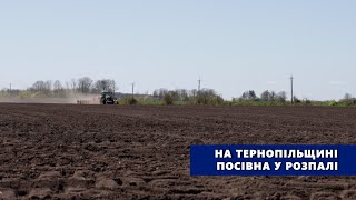 На Тернопільщині посівна у розпалі