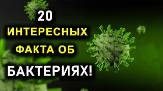 20 ИНТЕРЕСНЫХ ФАКТА О БАКТЕРИЯХ!