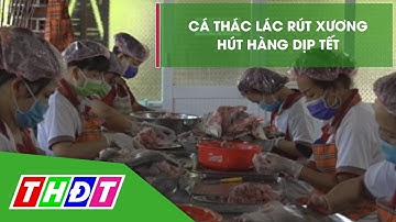 Cá thác lác rút xương vào mùa cao điểm Tết | THDT