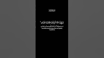 ﴿سورة مريم﴾#قران_كريم #راحة_نفسية #المصحف #لايك #اكسبلور