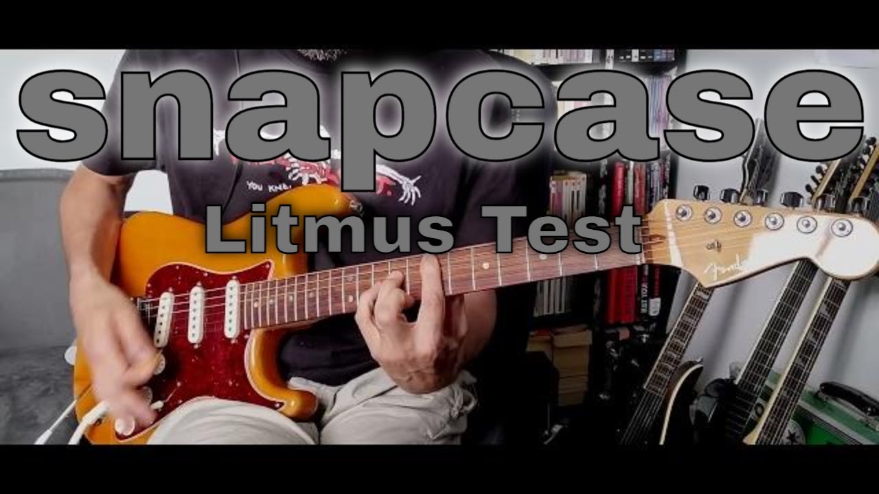 Snapcase - Litmus Test (Guitar Cover)