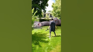 Solo Leveling in a Nutshell… #anime #sololeveling #sungjinwoo