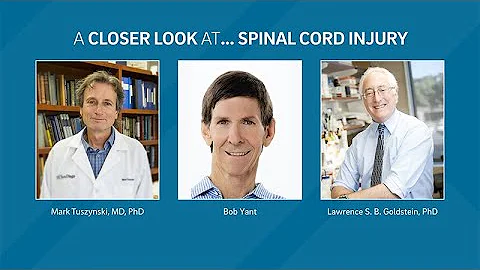 A Closer Look at...Spinal Cord Injury