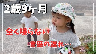 【2歳9ヶ月】まったく喋らない言葉の遅れ…理解している事　食べムラなど現在の成長【4歳2歳1歳3児の母】