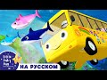 Детские песни | Детские мультфильмы | автобус едет по океану | Азбука 123s | Маленький Бэби Бам