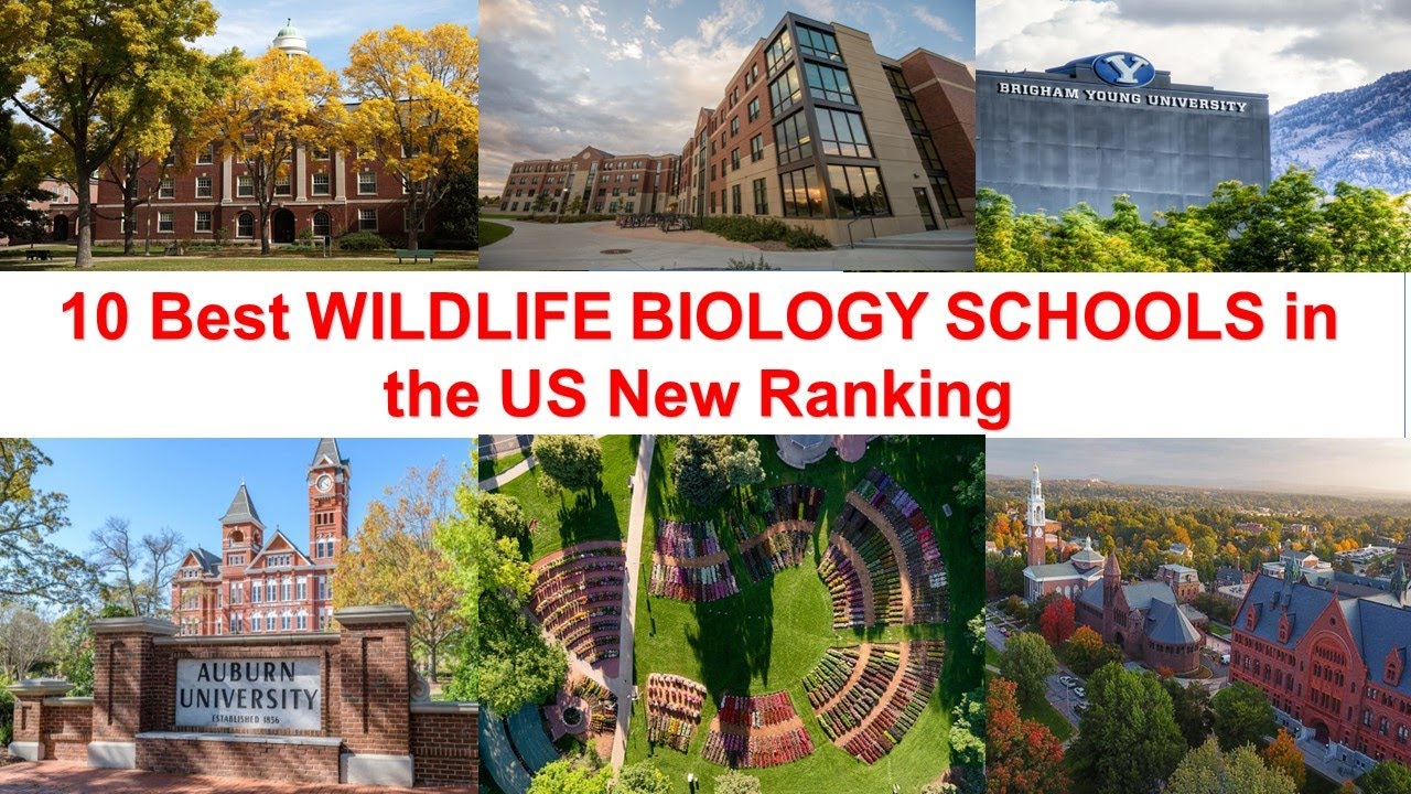 best wildlife biology phd programs
