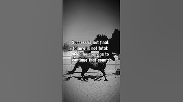 Failing Forward: The Key To Achieving Success! 💥 #motivation