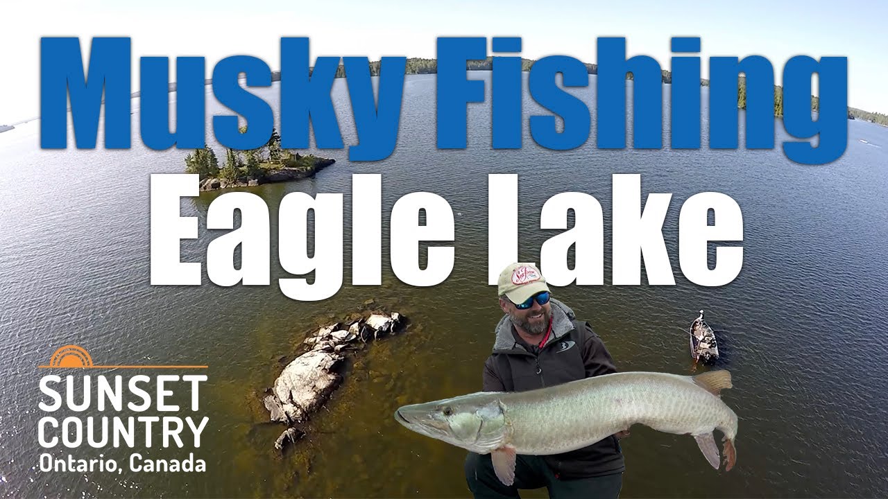 Musky Fishing Eagle Lake 