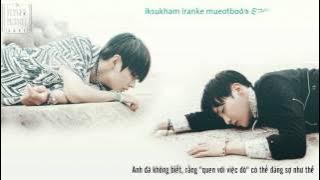 [FVDG95][VIETSUB   KARA] Hug Me (Taehyung & J-Hope Cover)