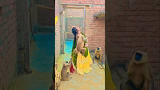 Animals Gone Wild ..