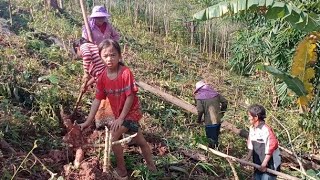 peb cov niam ntxhais rov qab mus pab ntxhiav niam ntxhiav txiv lawv nyom qo dua lawm nawb 13/1/2026