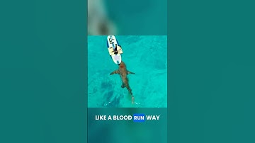 Mark Rober Tests If Sharks Can SMELL a Drop of Blood 😱🦈 #shorts #viral #viralshorts