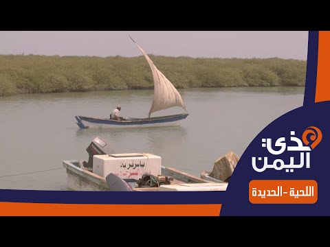 هذي اليمن اللحية الحديدة