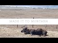 Travel day! Montana
