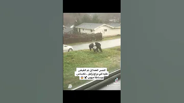 نسر عملاق القبض على نسر عملاق النسر العملاق تم القبض عليه في براونزفيل تكساس ببساطة مهيب 