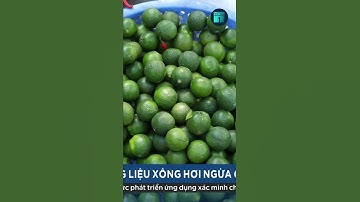 F0 tăng cao, giá hương liệu xông hơi ngừa Covid-19 tăng giá | VTC1