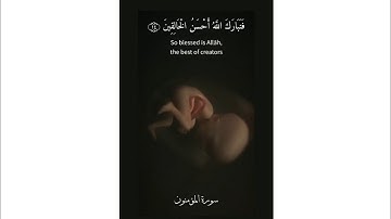 ولقد خلقنا الإنسان من سلالة من طين [ المؤمنون: 12 - 16 ]  القارئ  محمد صديق المنشاوي