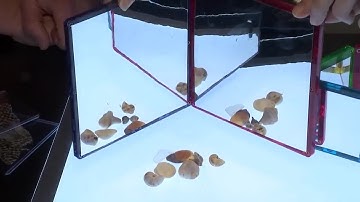 SCIENCE SUNDAY: Understanding kaleidoscopes