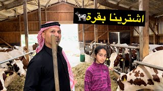 بنين تريد تشتري بقره 🐄 _ صدمنا سعر 😳_ جولة في مزرعة المانية 🇩🇪