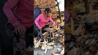 Efficient Corn Harvesting: Using a Corn Sheller Machine