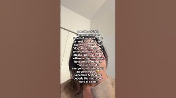 Insane!! @Airlearn App #languagelearning #bilingual #languages #fyp #viral