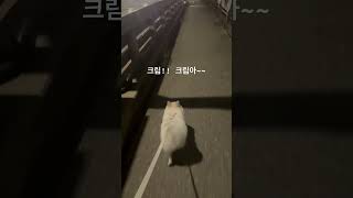 쪼리신고 산책 나갈 생각을 하다니, 엄마의 실수