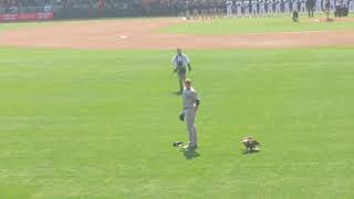 Minnesota Twins home opener 2018 Eagle lands on Seattle Mariners pitcher James Paxton