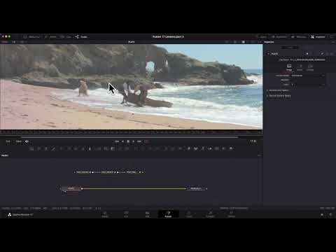 DaVinci Resolve 17