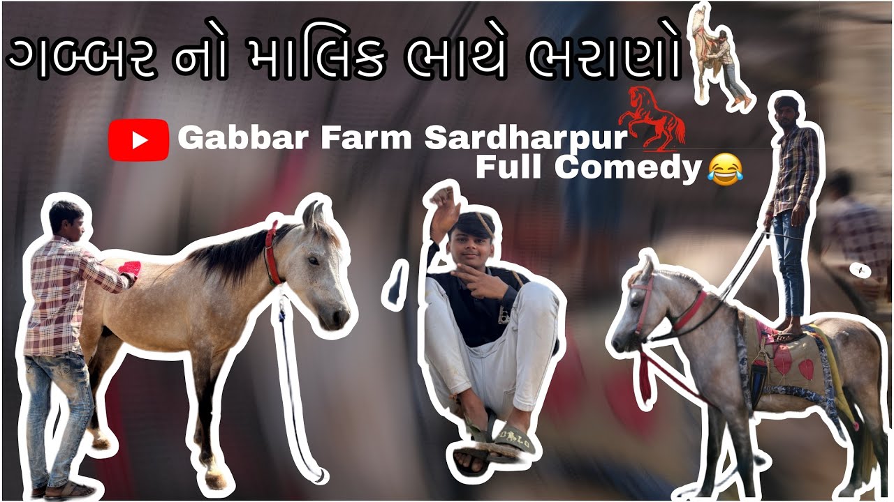 ગબ્બર નો માલિક ભાથે ભરાયો🤣#gabbarhorse #fullycomedy #horseriding#kathiyawadihorse 